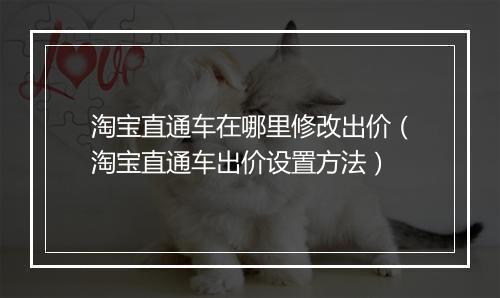 淘宝直通车在哪里修改出价（淘宝直通车出价设置方法）