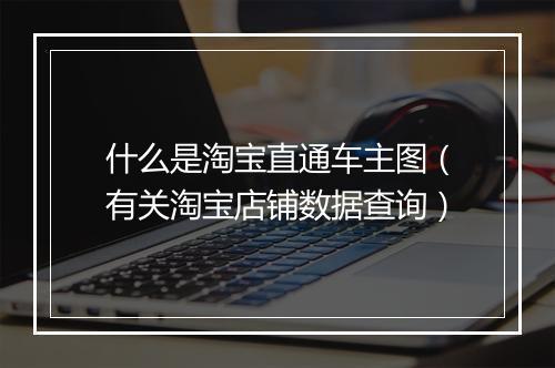 什么是淘宝直通车主图（有关淘宝店铺数据查询）