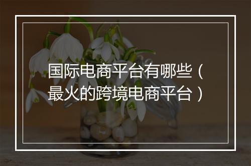 国际电商平台有哪些（最火的跨境电商平台）