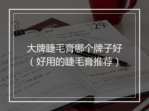 大牌睫毛膏哪个牌子好（好用的睫毛膏推荐）
