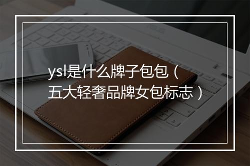 ysl是什么牌子包包（五大轻奢品牌女包标志）