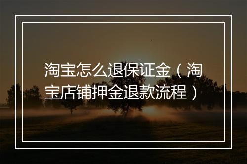 淘宝怎么退保证金（淘宝店铺押金退款流程）