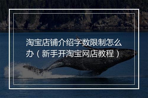淘宝店铺介绍字数限制怎么办（新手开淘宝网店教程）