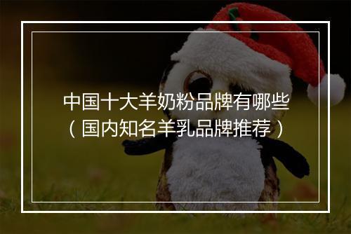 中国十大羊奶粉品牌有哪些（国内知名羊乳品牌推荐）
