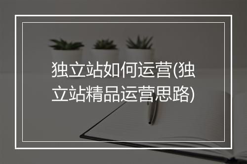 独立站如何运营(独立站精品运营思路)