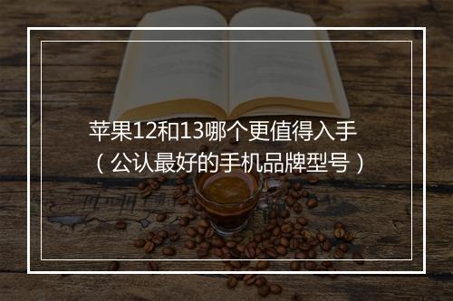 苹果12和13哪个更值得入手（公认最好的手机品牌型号）