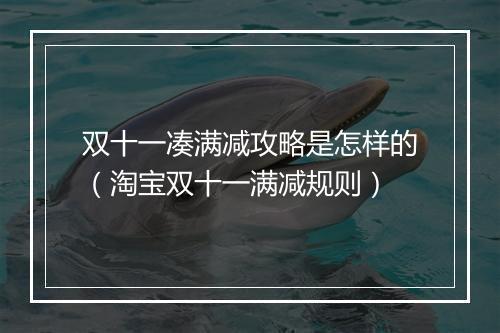 双十一凑满减攻略是怎样的（淘宝双十一满减规则）
