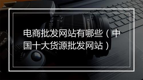 电商批发网站有哪些（中国十大货源批发网站）