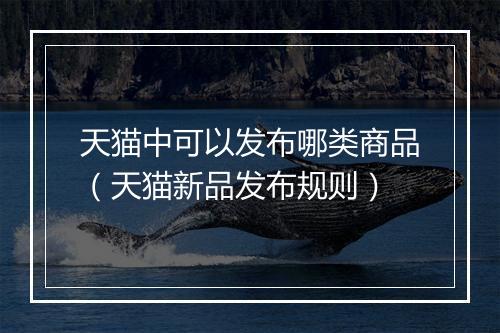 天猫中可以发布哪类商品（天猫新品发布规则）