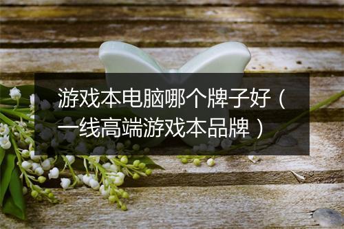 游戏本电脑哪个牌子好（一线高端游戏本品牌）