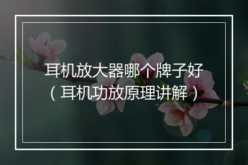 耳机放大器哪个牌子好（耳机功放原理讲解）