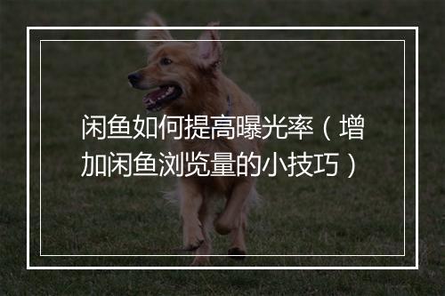 闲鱼如何提高曝光率（增加闲鱼浏览量的小技巧）