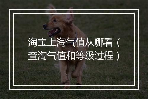 淘宝上淘气值从哪看（查淘气值和等级过程）