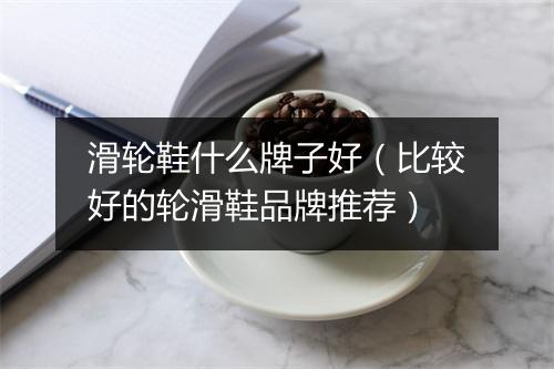 滑轮鞋什么牌子好（比较好的轮滑鞋品牌推荐）