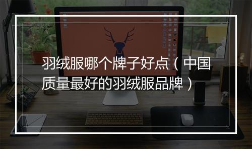 羽绒服哪个牌子好点（中国质量最好的羽绒服品牌）
