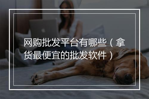 网购批发平台有哪些（拿货最便宜的批发软件）