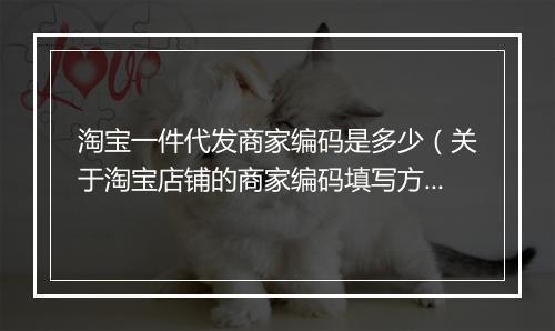淘宝一件代发商家编码是多少（关于淘宝店铺的商家编码填写方式）