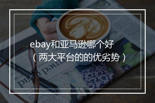 ebay和亚马逊哪个好（两大平台的的优劣势）