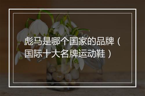 彪马是哪个国家的品牌（国际十大名牌运动鞋）