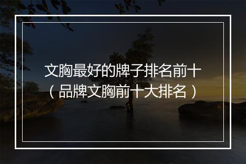 文胸最好的牌子排名前十（品牌文胸前十大排名）