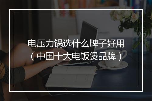 电压力锅选什么牌子好用（中国十大电饭煲品牌）