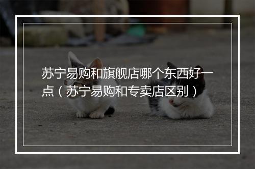 苏宁易购和旗舰店哪个东西好一点（苏宁易购和专卖店区别）