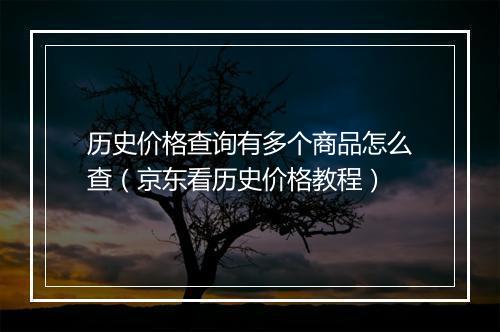 历史价格查询有多个商品怎么查（京东看历史价格教程）