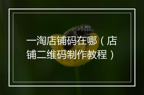 一淘店铺码在哪（店铺二维码制作教程）