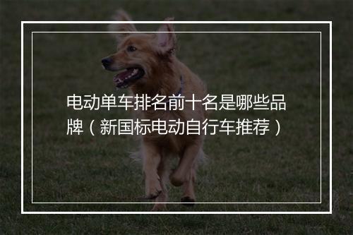 电动单车排名前十名是哪些品牌（新国标电动自行车推荐）