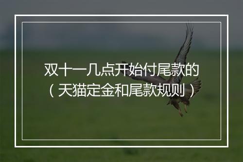 双十一几点开始付尾款的（天猫定金和尾款规则）