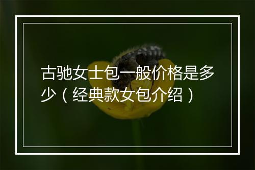 古驰女士包一般价格是多少（经典款女包介绍）