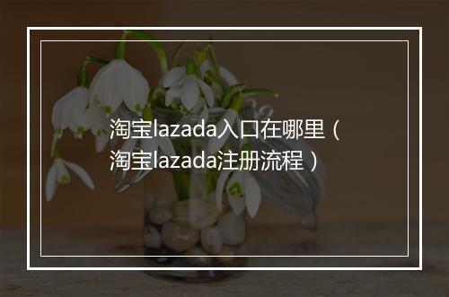 淘宝lazada入口在哪里（淘宝lazada注册流程）