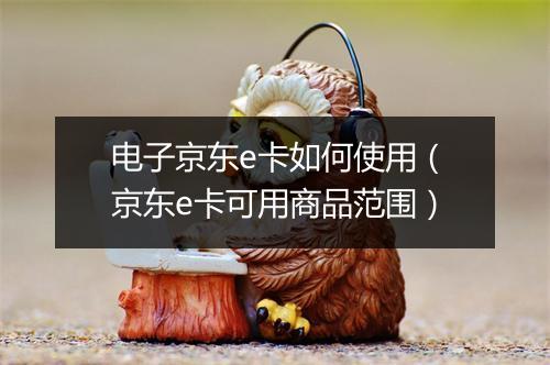 电子京东e卡如何使用（京东e卡可用商品范围）