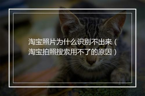 淘宝照片为什么识别不出来（淘宝拍照搜索用不了的原因）