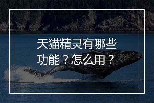 天猫精灵有哪些功能？怎么用？