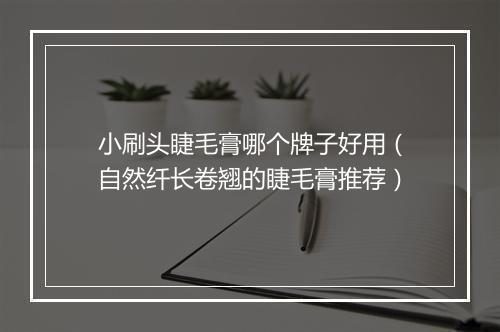 小刷头睫毛膏哪个牌子好用（自然纤长卷翘的睫毛膏推荐）