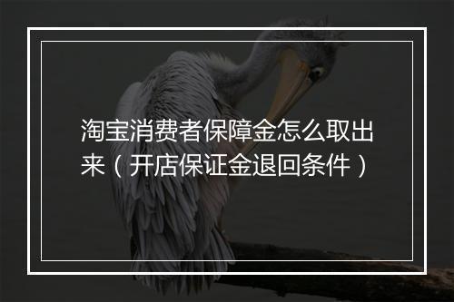 淘宝消费者保障金怎么取出来（开店保证金退回条件）