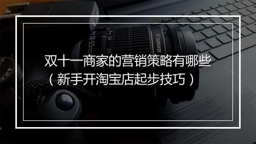 双十一商家的营销策略有哪些（新手开淘宝店起步技巧）