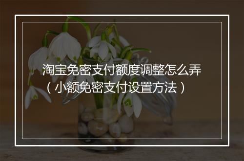 淘宝免密支付额度调整怎么弄（小额免密支付设置方法）