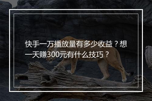 快手一万播放量有多少收益？想一天赚300元有什么技巧？