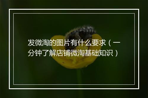 发微淘的图片有什么要求（一分钟了解店铺微淘基础知识）