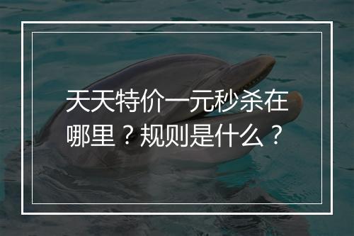 天天特价一元秒杀在哪里？规则是什么？