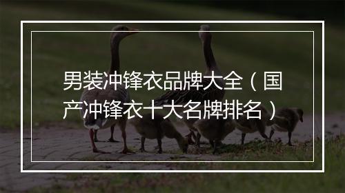 男装冲锋衣品牌大全（国产冲锋衣十大名牌排名）