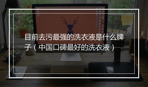 目前去污最强的洗衣液是什么牌子（中国口碑最好的洗衣液）
