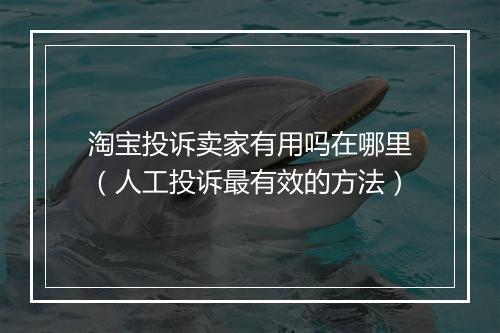 淘宝投诉卖家有用吗在哪里（人工投诉最有效的方法）