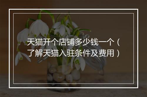 天猫开个店铺多少钱一个（了解天猫入驻条件及费用）