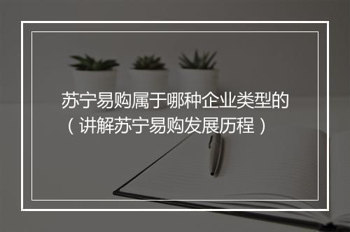 苏宁易购属于哪种企业类型的（讲解苏宁易购发展历程）