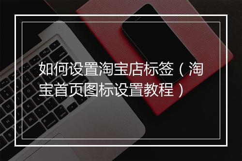 如何设置淘宝店标签（淘宝首页图标设置教程）