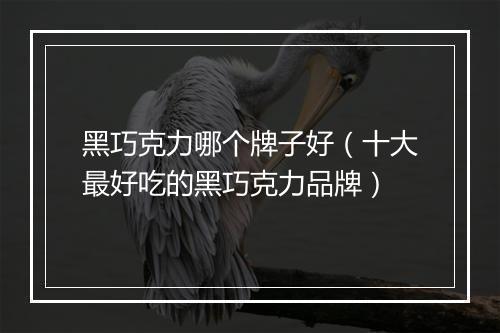 黑巧克力哪个牌子好（十大最好吃的黑巧克力品牌）