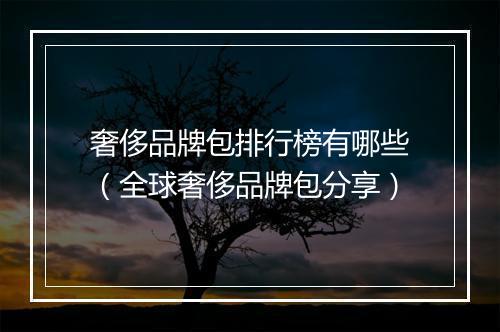 奢侈品牌包排行榜有哪些（全球奢侈品牌包分享）